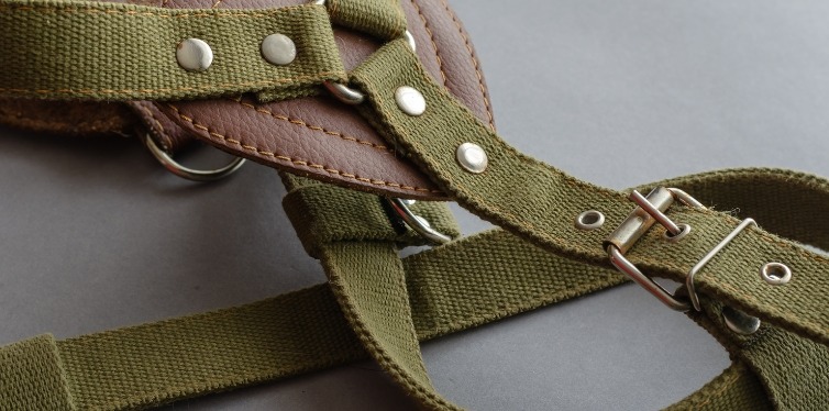 No-pull dog harness for Pomeranians